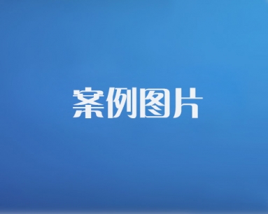 案例比例（748×588）