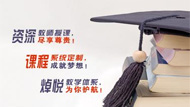 手机站banner下图