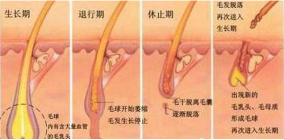 QQ截图20170916164817.png